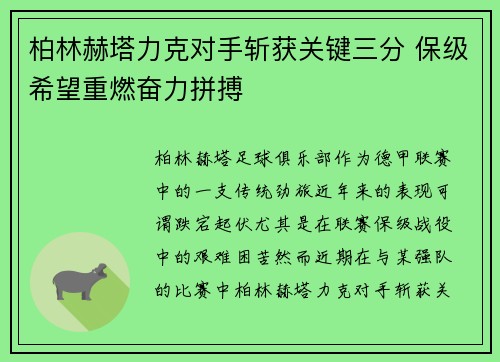 柏林赫塔力克对手斩获关键三分 保级希望重燃奋力拼搏